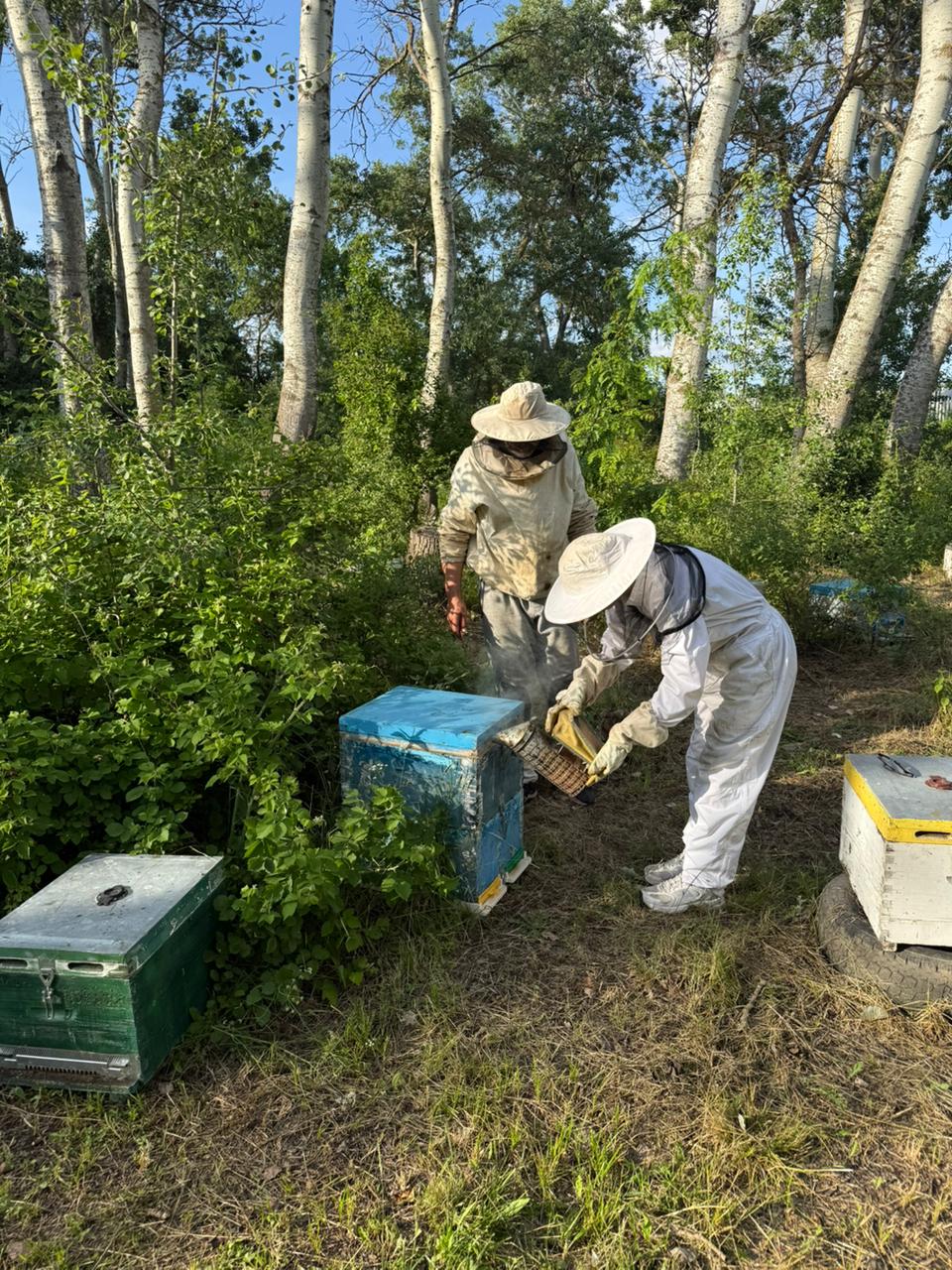 Μπόρις & Αλεξάνδρα | Melissanidis Honey — photo 2