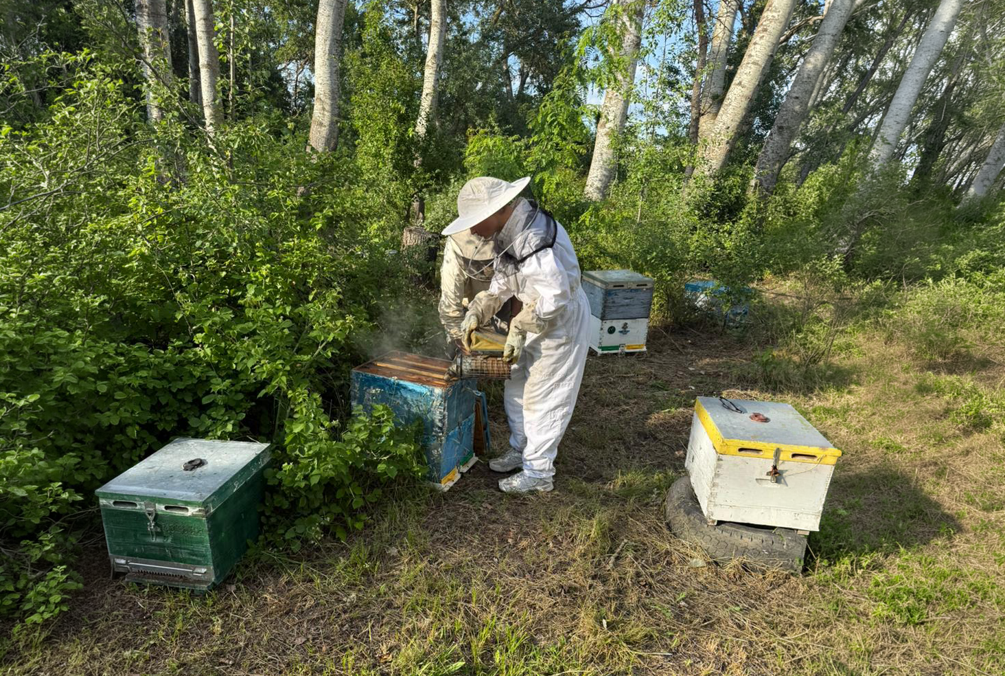 Μπόρις & Αλεξάνδρα | Melissanidis Honey — photo 2