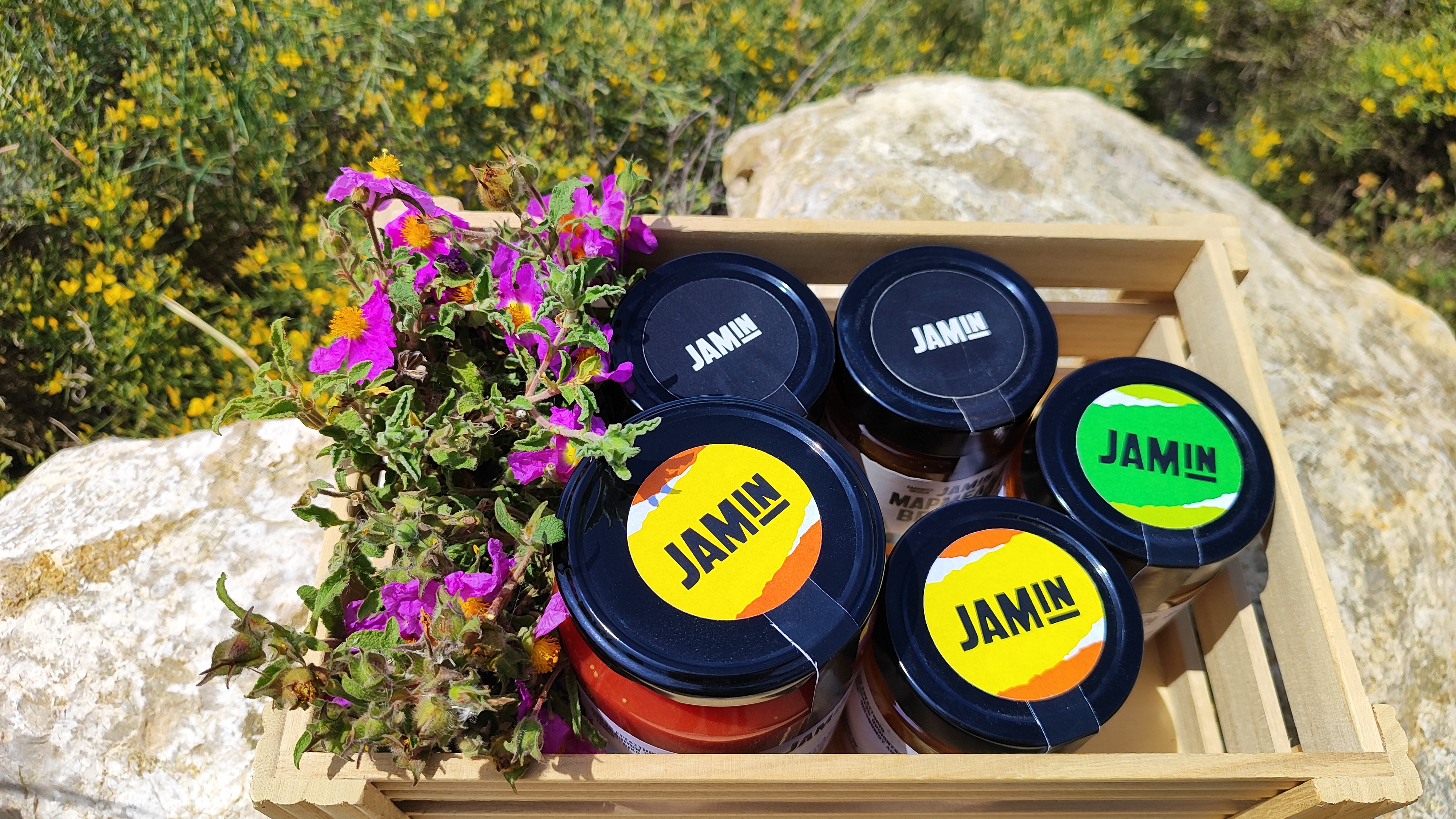 Αλέξανδρος & Άννα | JAMin — photo 3
