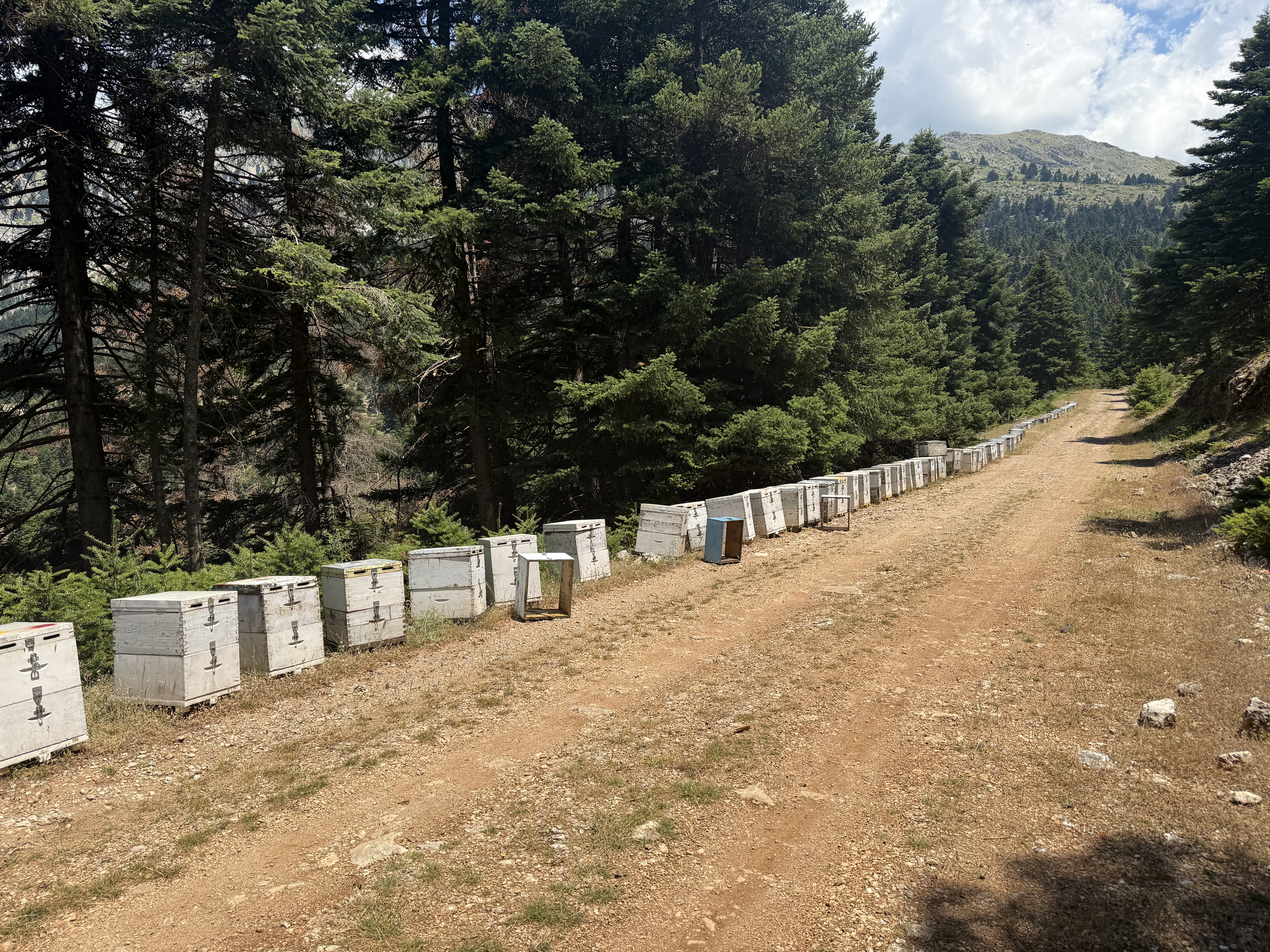 Κωνσταντίνος Έξαρχος | Philomelia — photo 2
